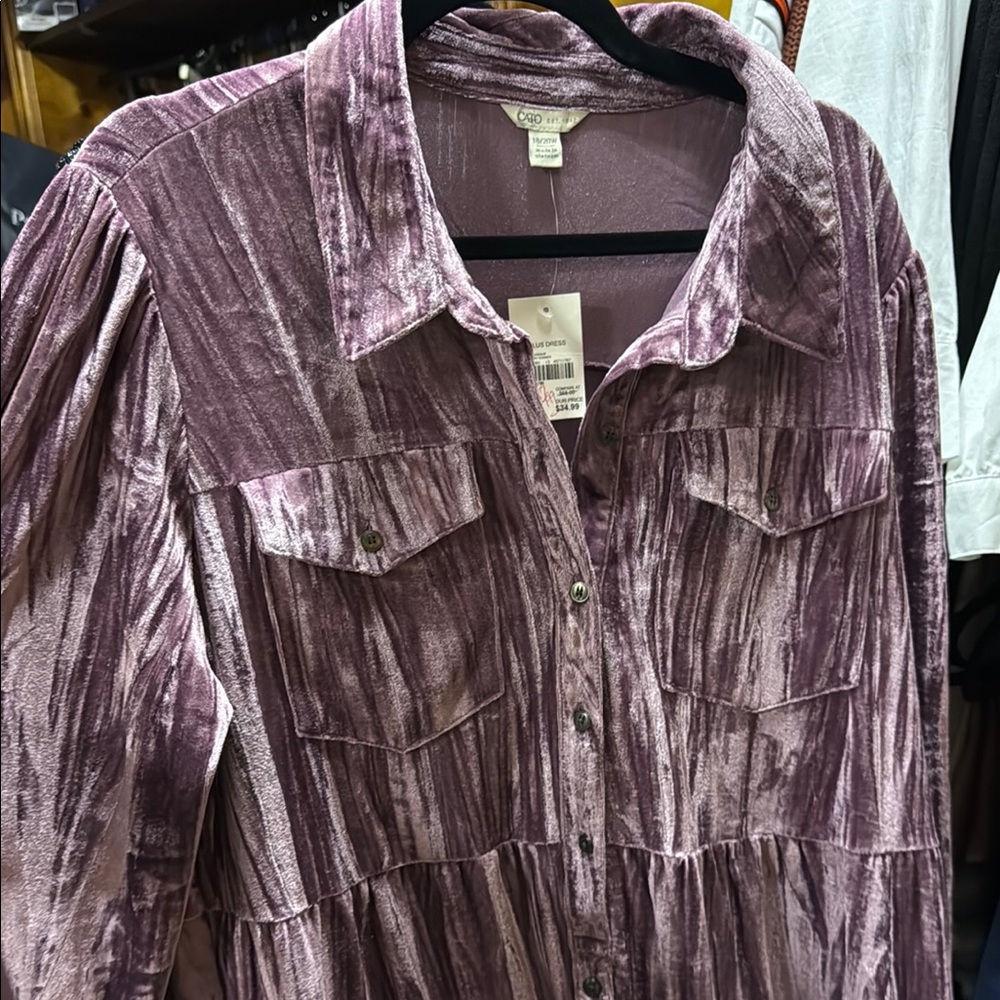 Cato Long Sleeve Velvet Dress in Mauve